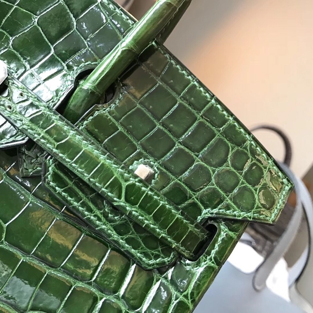 [에르메스] Hermes Birkin Bag Alligator - 에르메스 버킨 25 악어가죽 25 x 20 x 13cm (버킨 30 35 40 45) 가격상담