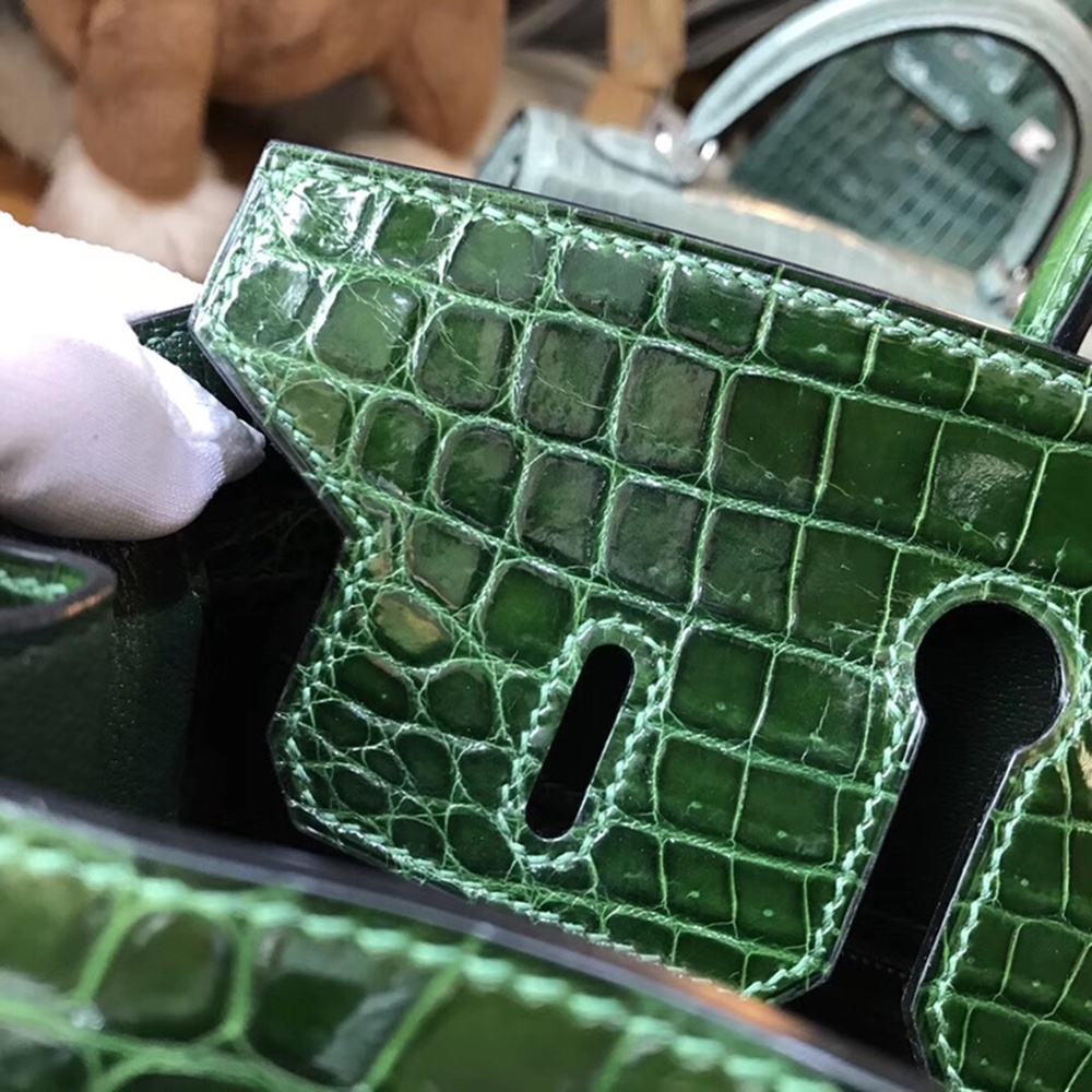 [에르메스] Hermes Birkin Bag Alligator - 에르메스 버킨 25 악어가죽 25 x 20 x 13cm (버킨 30 35 40 45) 가격상담