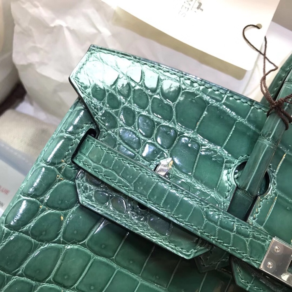 [에르메스] Hermes Birkin Bag Alligator - 에르메스 버킨 25 악어가죽 25 x 20 x 13cm (버킨 30 35 40 45) 가격상담