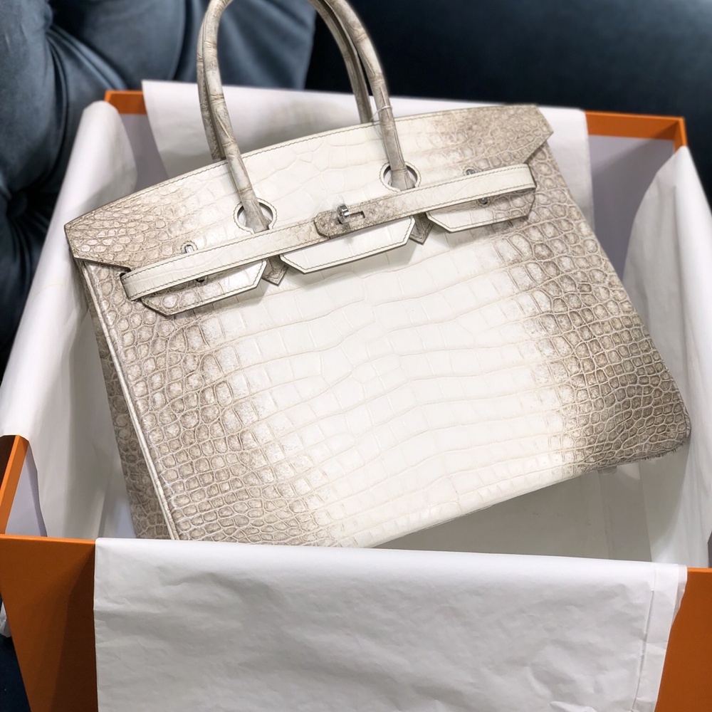 [에르메스] Hermes Birkin Bag Alligator - 에르메스 버킨 25 악어가죽 25 x 20 x 13cm (버킨 30 35 40 45) 가격상담
