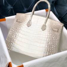 [에르메스] Hermes Birkin Bag Alligator - 에르메스 버킨 25 악어가죽 25 x 20 x 13cm (버킨 30 35 40 45) 가격상담