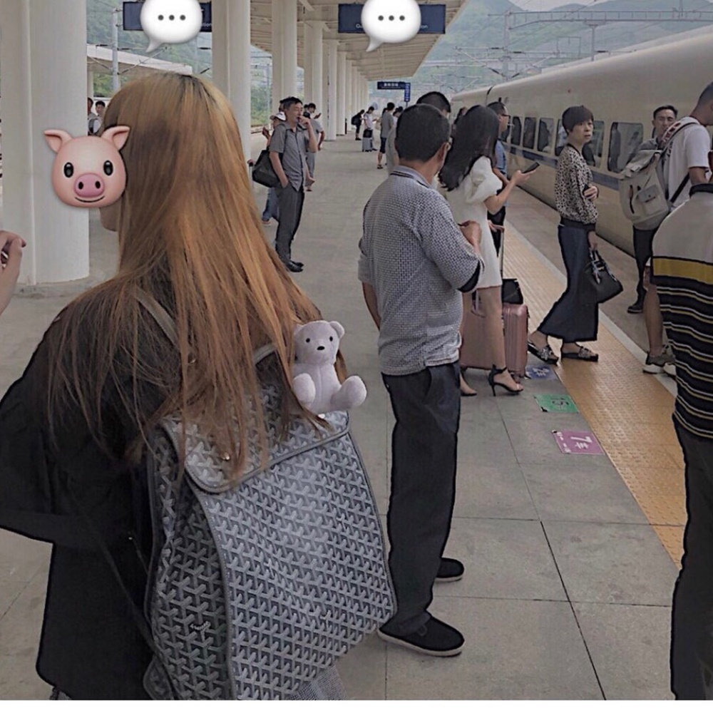 [고야드] Goyard – 고야드 백팩 생레제르 SAINT LEGER 33x37x15cm