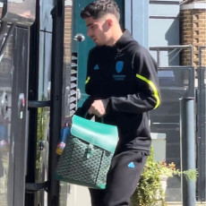 [고야드] Goyard - 고야드 알팡 그린 백팩 Goyard Alpin Backpack MM 25cm 40cm 15cm MINI 19cm 21cm 10cm