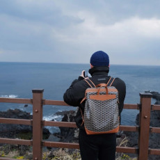 [고야드] Goyard - 고야드 알팡 백팩 Goyard Alpin Backpack MM 25cm 40cm 15cm MINI 19cm 21cm 10cm