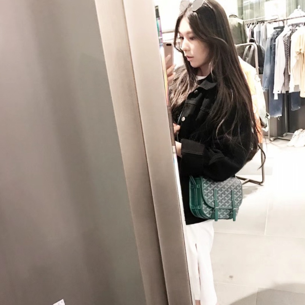 [고야드] 그린 2종 Goyard - Belvedere PM Bag Maison Goyard 고야드 벨베데르 백 pm 22cm mm 28cm