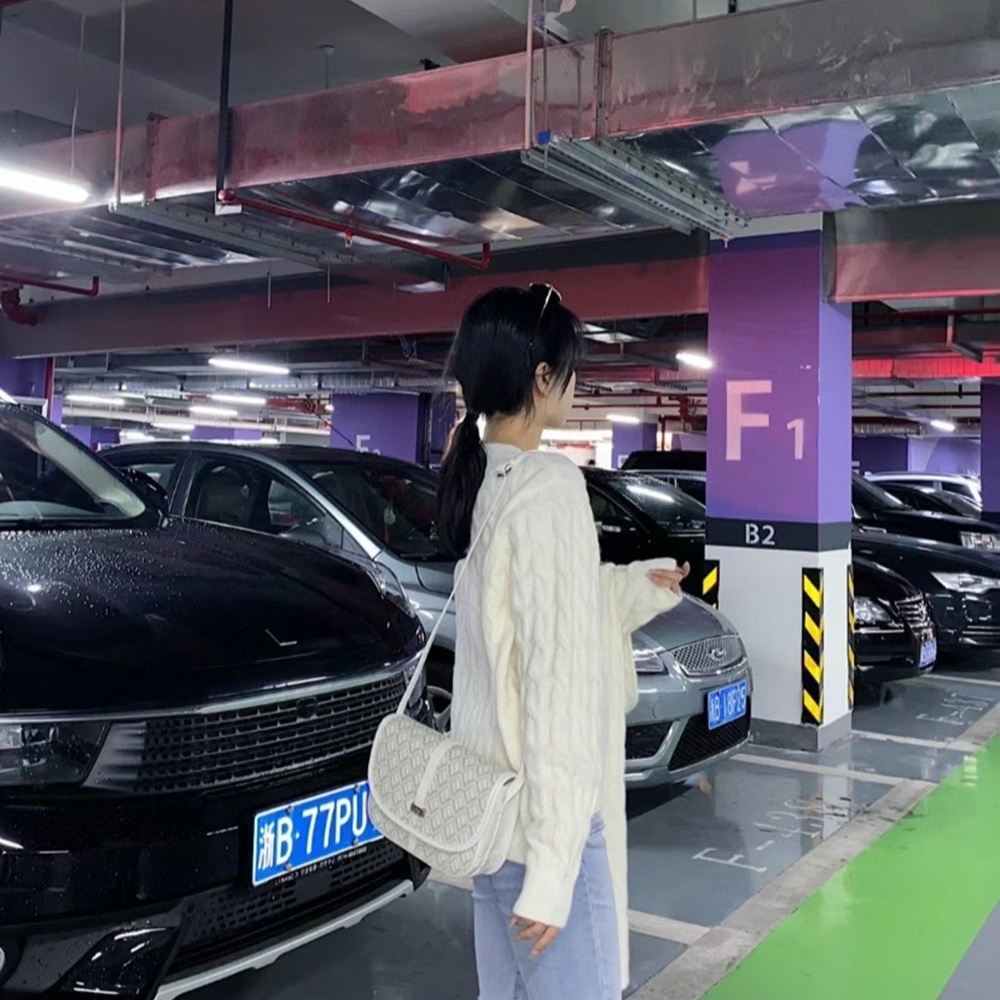 [고야드] Goyard - Belvedere PM Bag Maison Goyard 고야드 벨베데르 백 pm 22cm mm 28cm