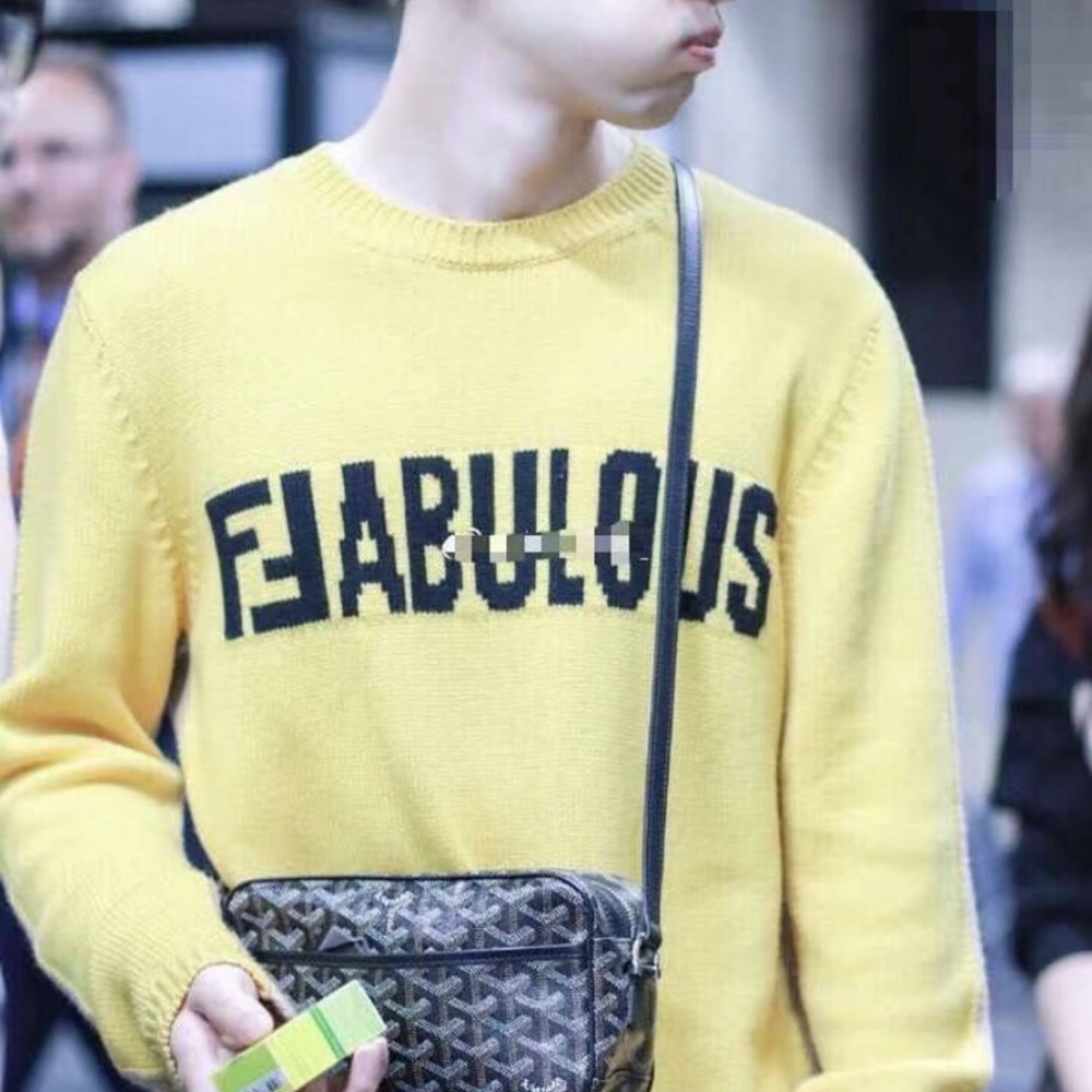 [고야드] Goyard - 고야드 카페르 카메라 크로스 백 Goyard Cap Vert Camera Crossbody Bag 23cm x 13cm x 8cm