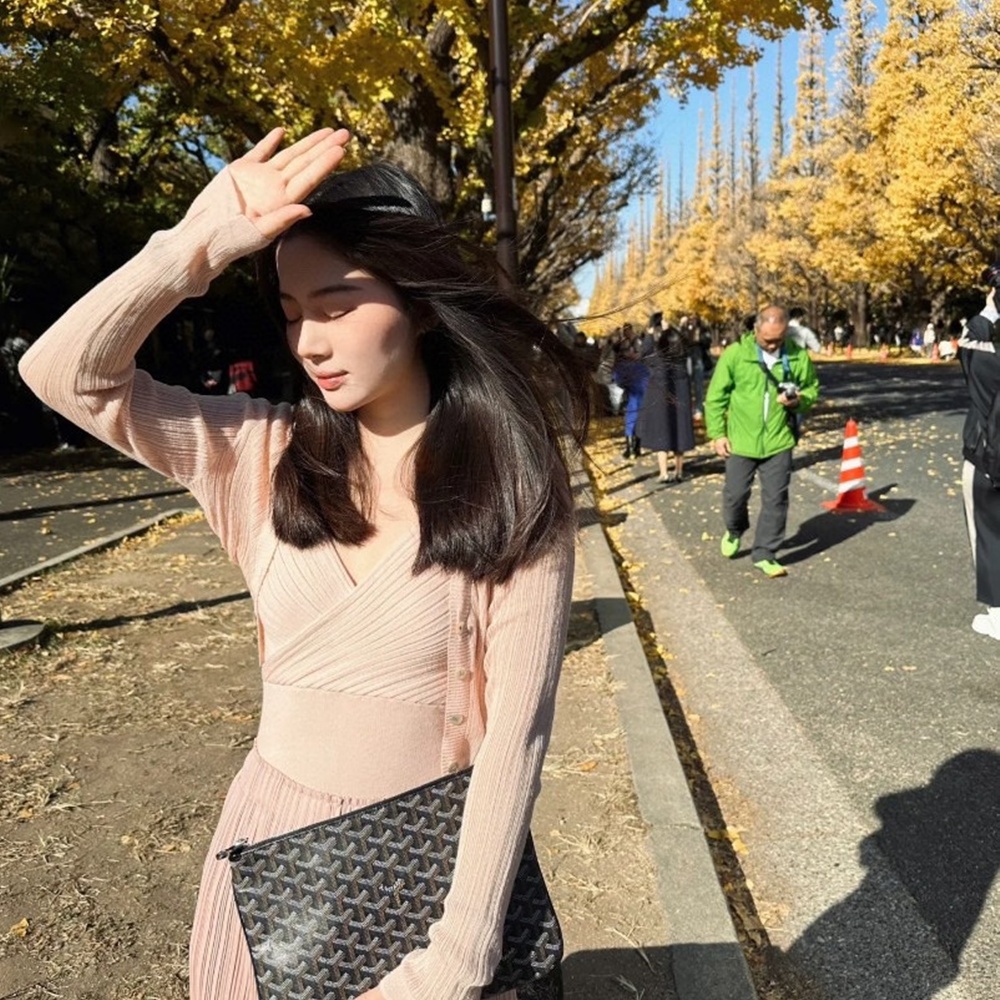 [고야드] Goyard - 고야드 Goyard senat pouch 세나 클러치 GM40 MCM36 MM29 PM20 MINI15 cm