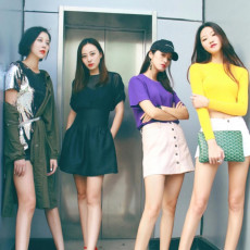 [고야드] Goyard - 고야드 Goyard senat pouch 세나 클러치 GM40 MCM36 MM29 PM20 MINI15 cm