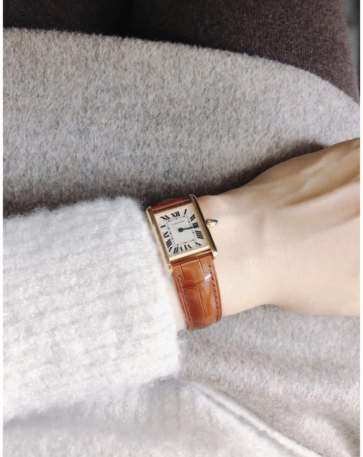 [까르띠에] Cartier Tank Solo Louis Must Cartier- 탱크 솔로 루이 머스트 까르띠에 33.7x25x5mm 29.5mm x 22mm